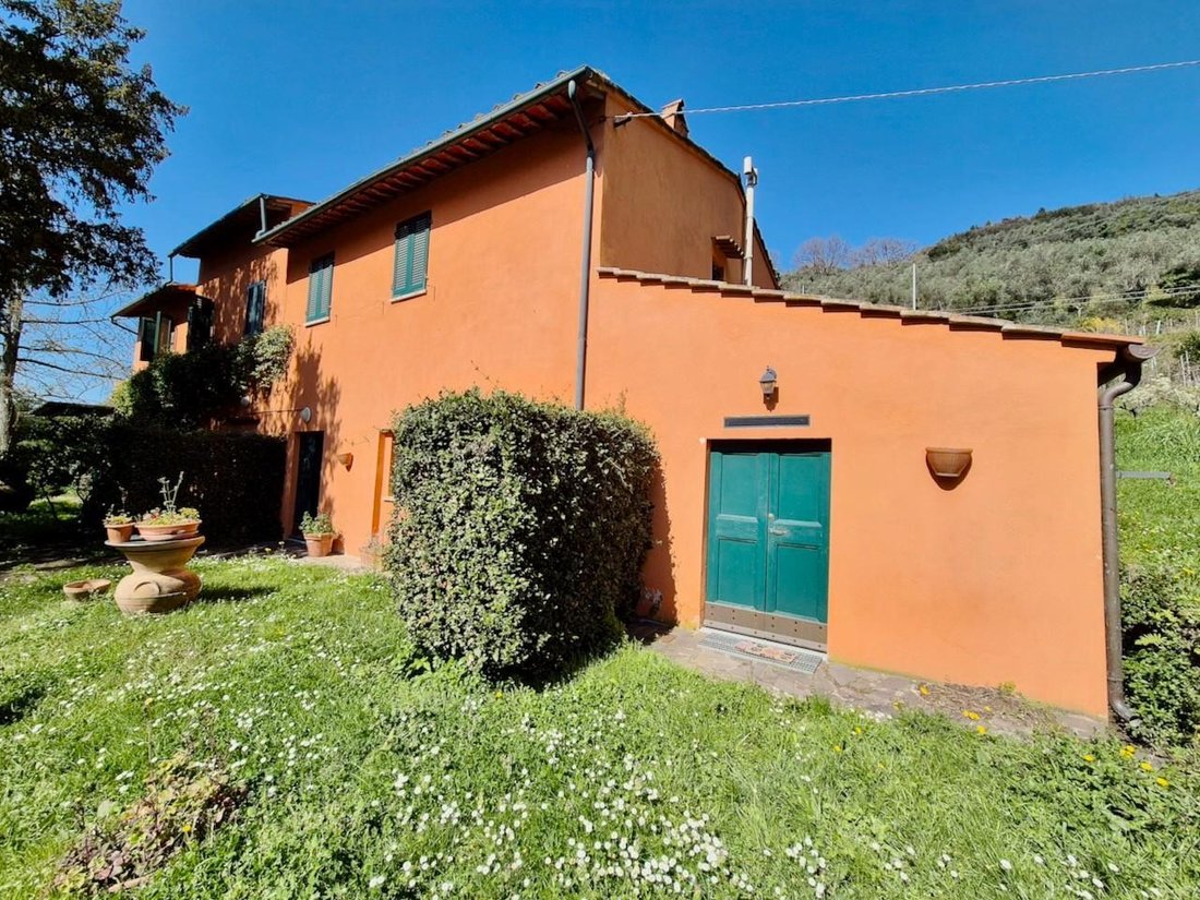 Country House in San Giuliano Terme, Tuscany, Italy 2 - 15909064