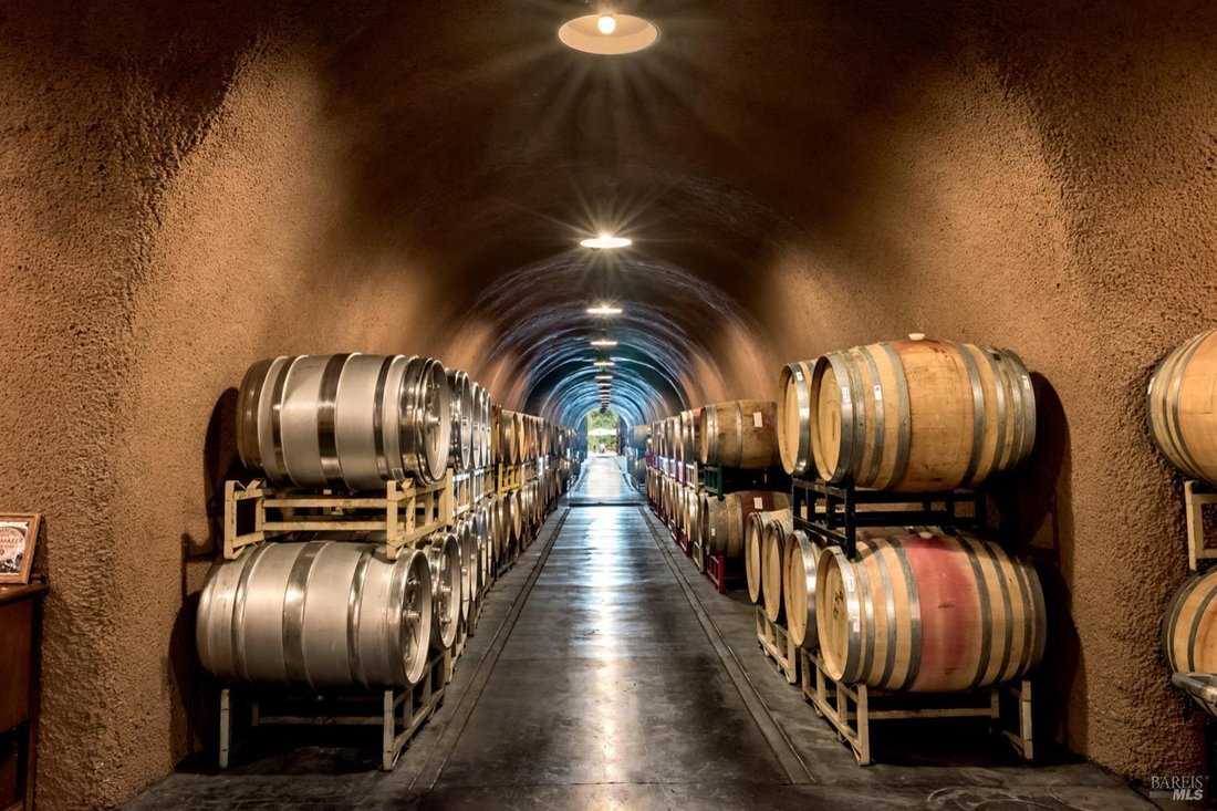 Glen Ellen, California, United States 3 - 15909648