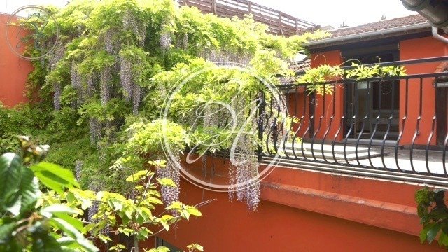 House in Nogent-sur-Marne, Ile-de-France, France 1 - 15909584