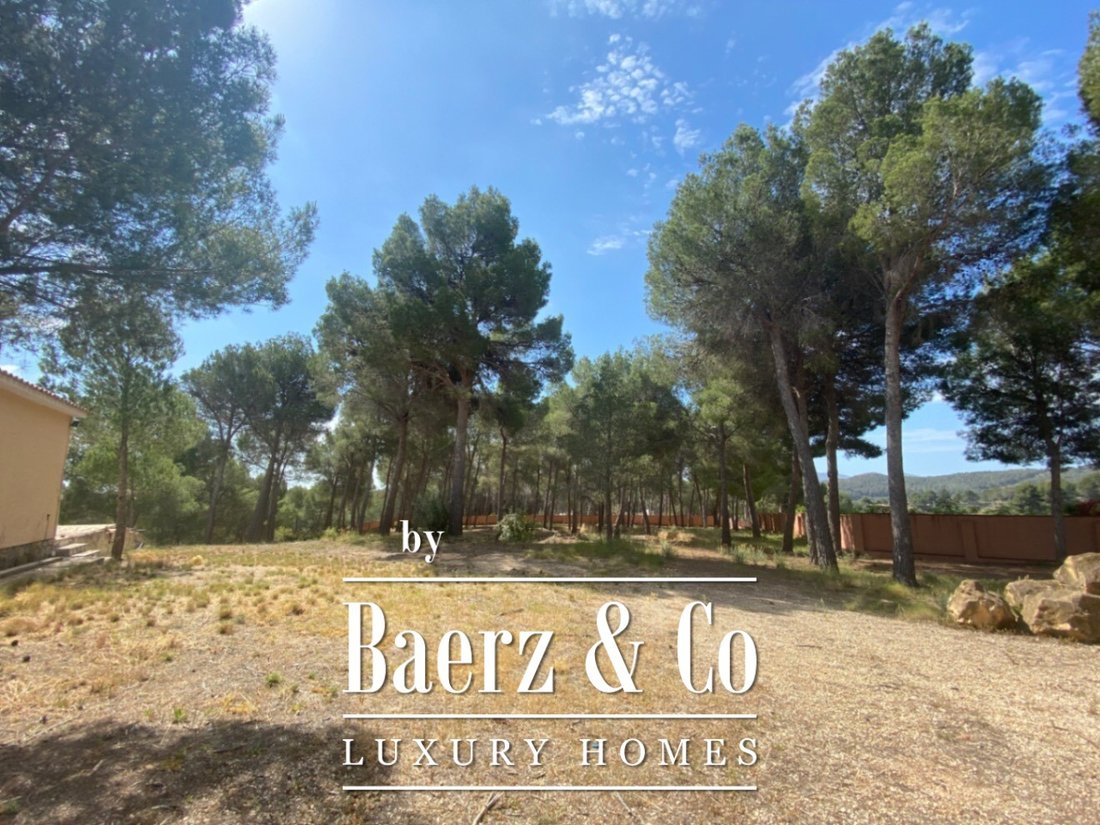 Finca in Altea, Valencian Community, Spain 3 - 15910143