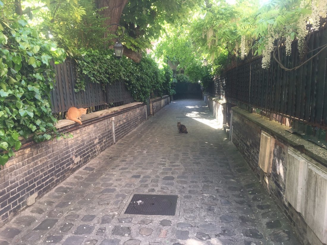 House in Pereire-Malesherbes, Paris 17e Arrondissement, Paris 3 - 15910124