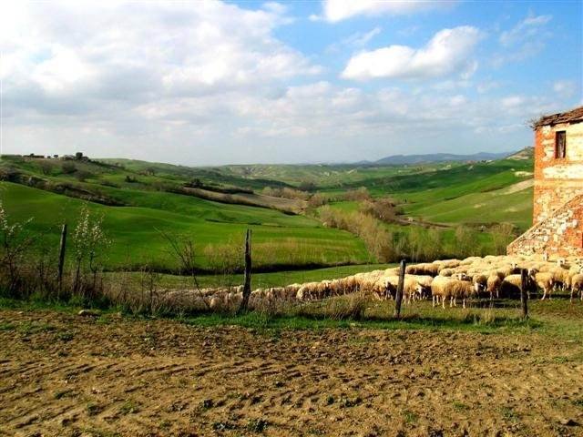 Country House in Asciano, Tuscany, Italy 5 - 15908579