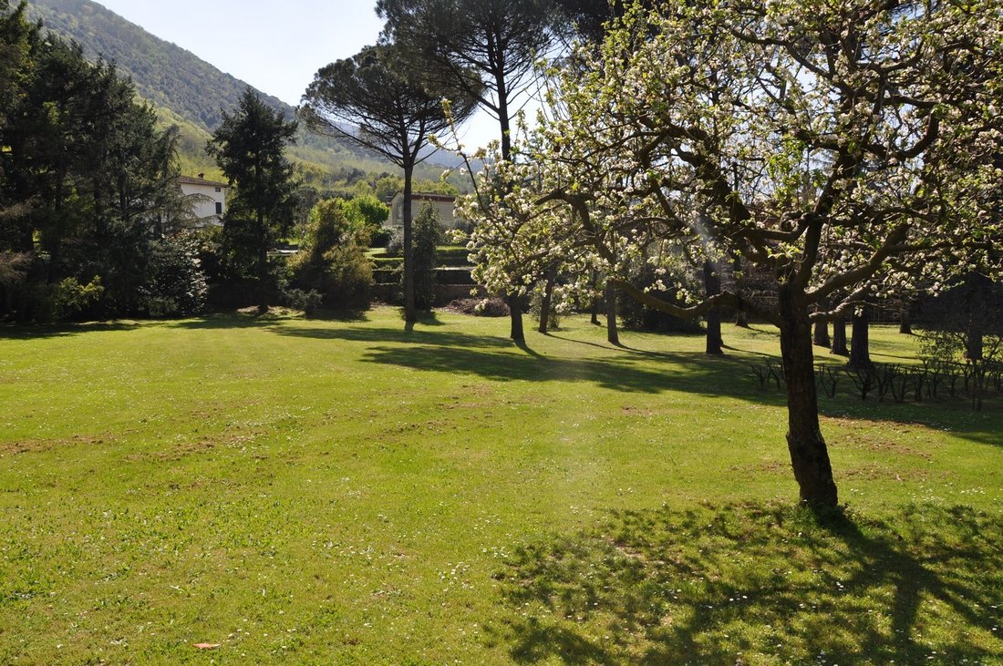 Villa in Novoli - Parco San Donato, Florence, Italy 5 - 15908784