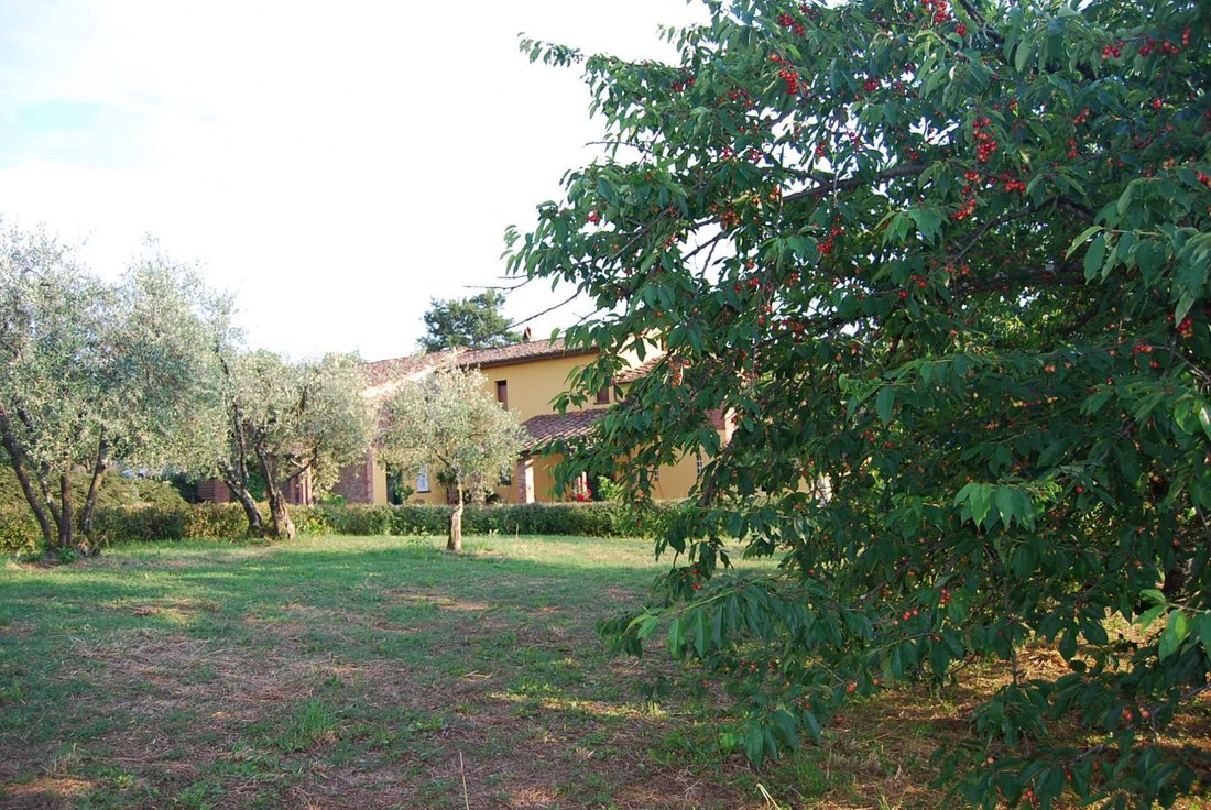 House in Montecarlo, Tuscany, Italy 5 - 15908750