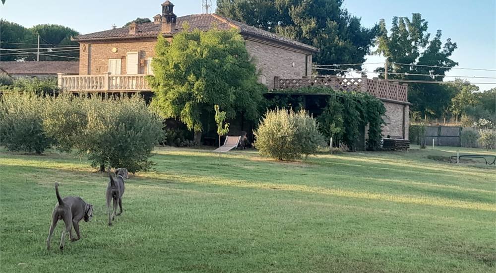 Country House in Lucignano, Tuscany, Italy 3 - 15908421