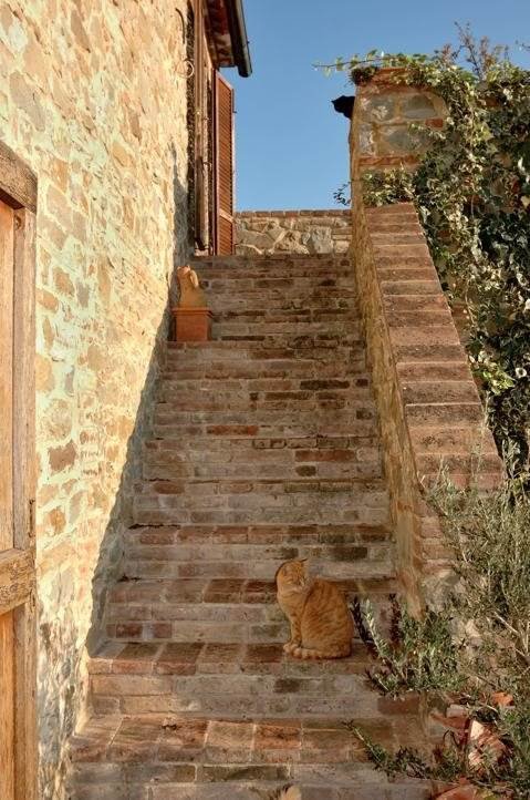 Country House in Center, Cortona, Tuscany 3 - 15907916