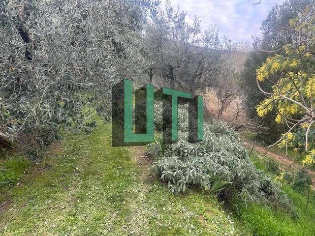 Country House in Borgo a Cascia, Reggello, Tuscany 4 - 15907775