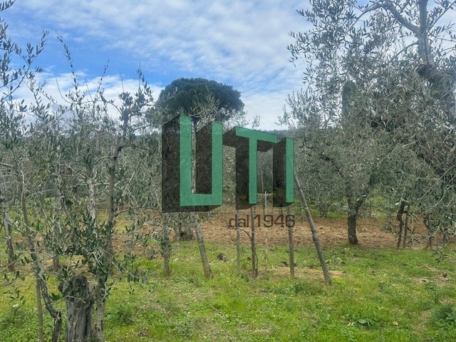 Country House in Borgo a Cascia, Reggello, Tuscany 5 - 15907775