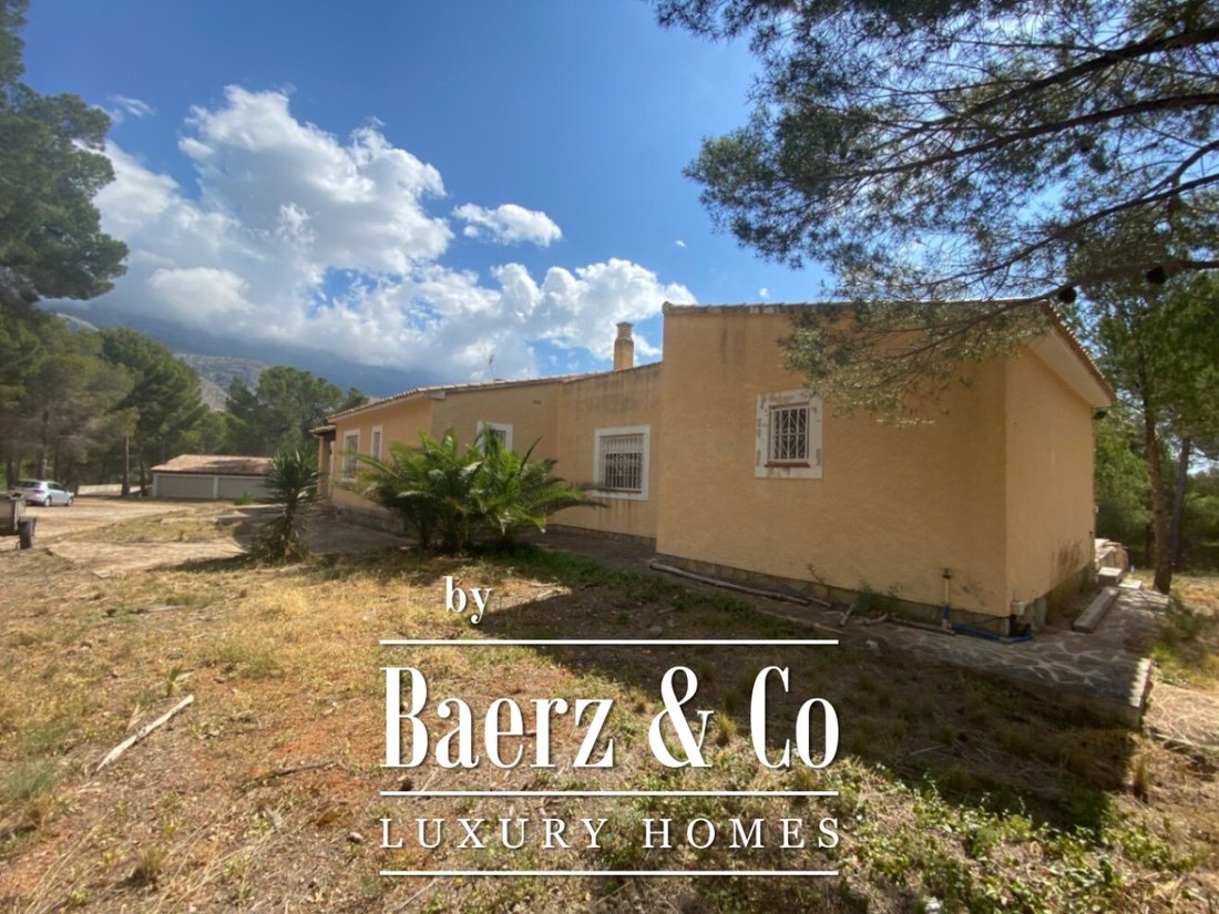 Finca in Altea, Valencian Community, Spain 2 - 15910143