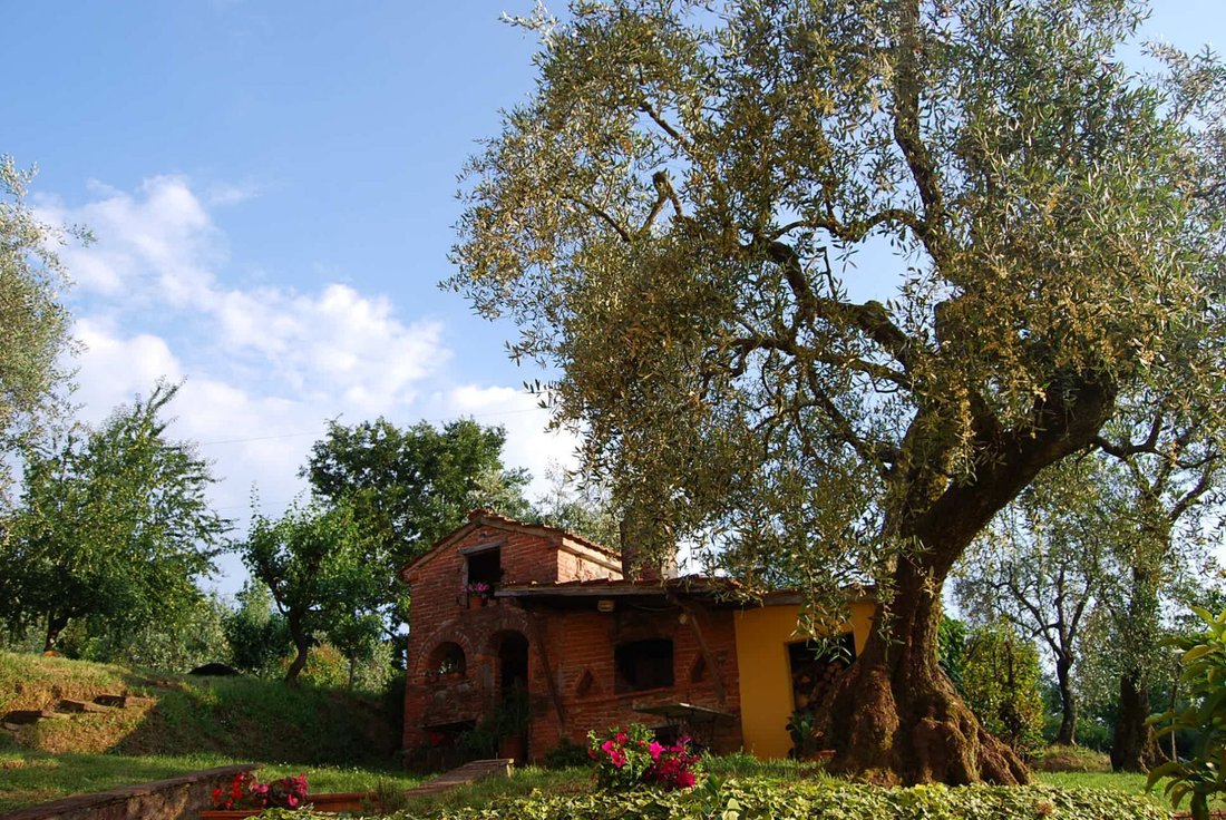 House in Montecarlo, Tuscany, Italy 4 - 15908750