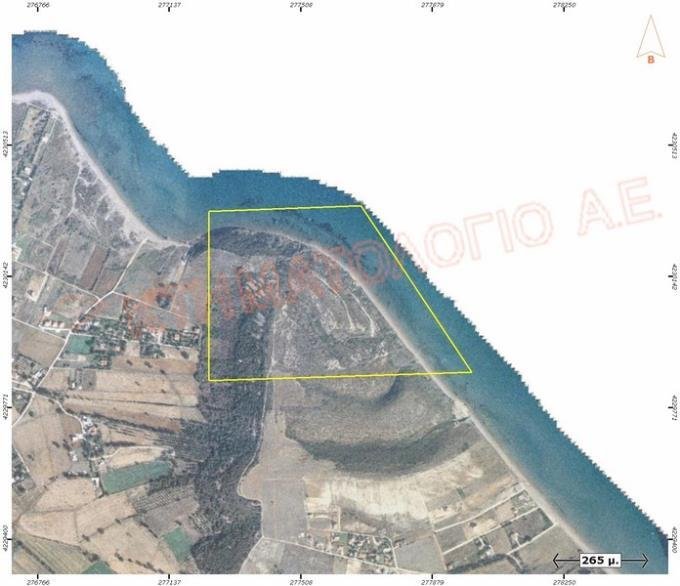 Land in Lakkopetras, Larissos, Peloponnese, Western Greece and the Ionian 5 - 15911822