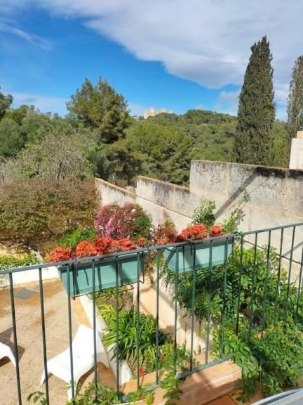 House in Palma, Balearic Islands, Spain 3 - 15912972
