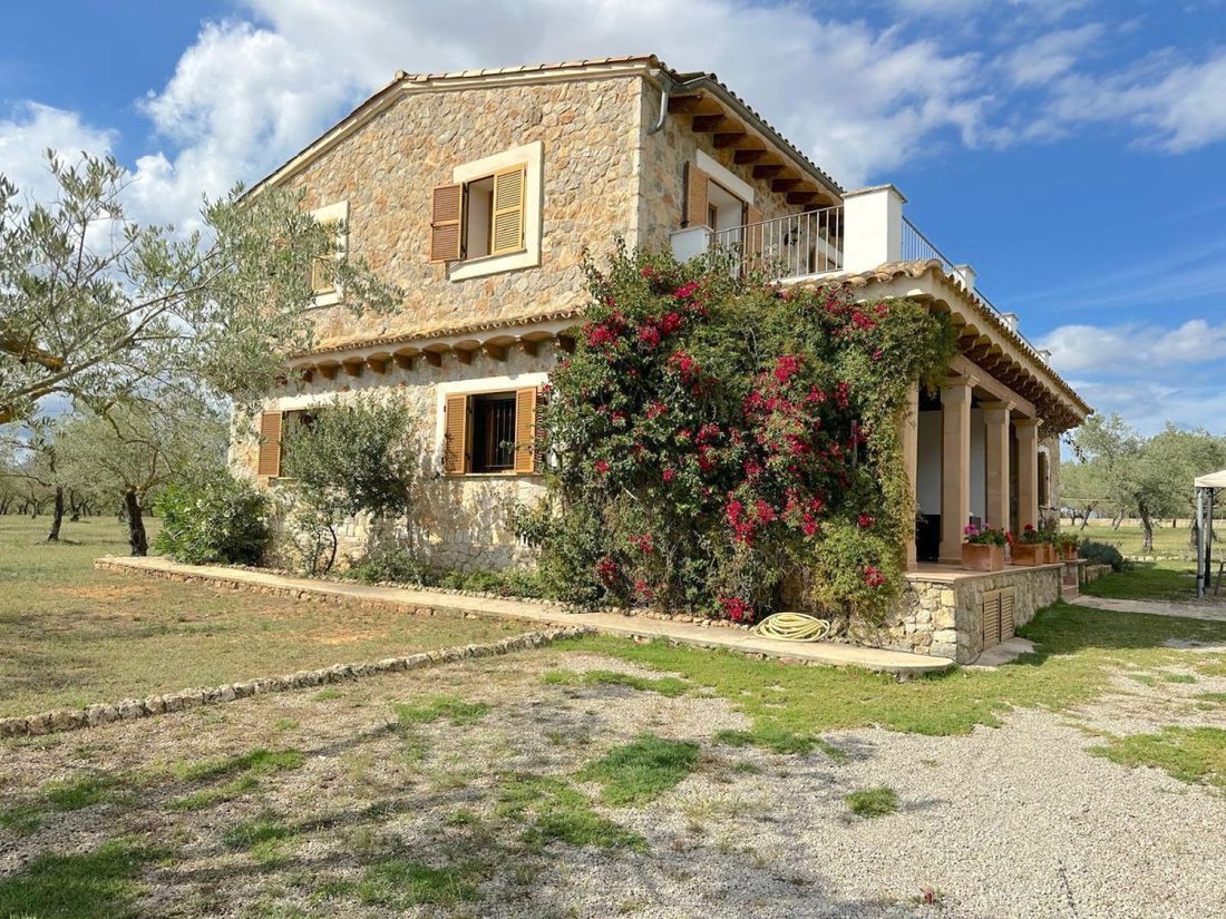 Farm Ranch in Inca, Balearic Islands, Spain 1 - 15912956