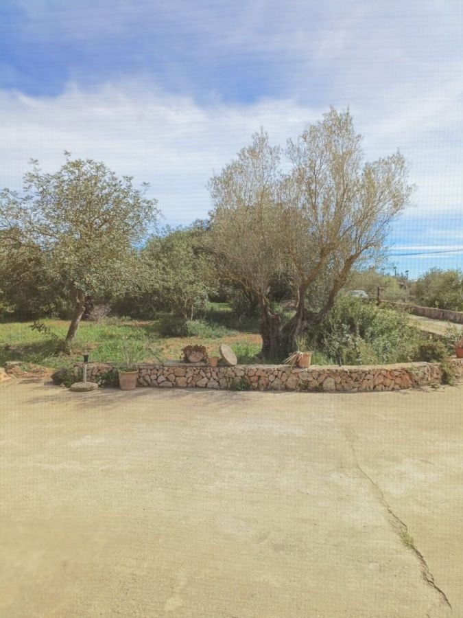 Chalet in Manacor, Balearic Islands, Spain 2 - 15912941