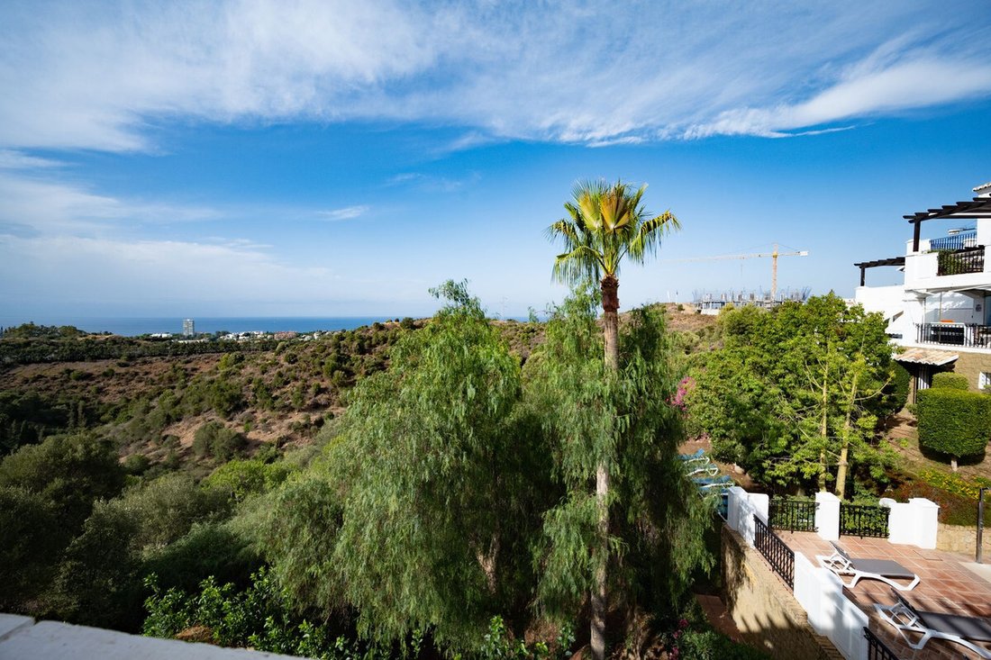 Apartment in Marbella, Andalusia, Spain 3 - 15912901