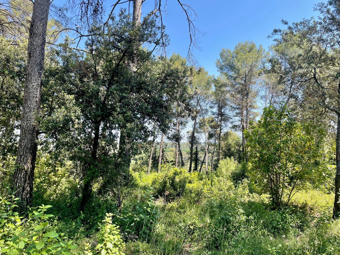 Land in Castelnau-le-Lez, Occitania, France 5 - 15917047