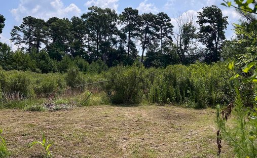 Land in Cary, North Carolina, United States 1
