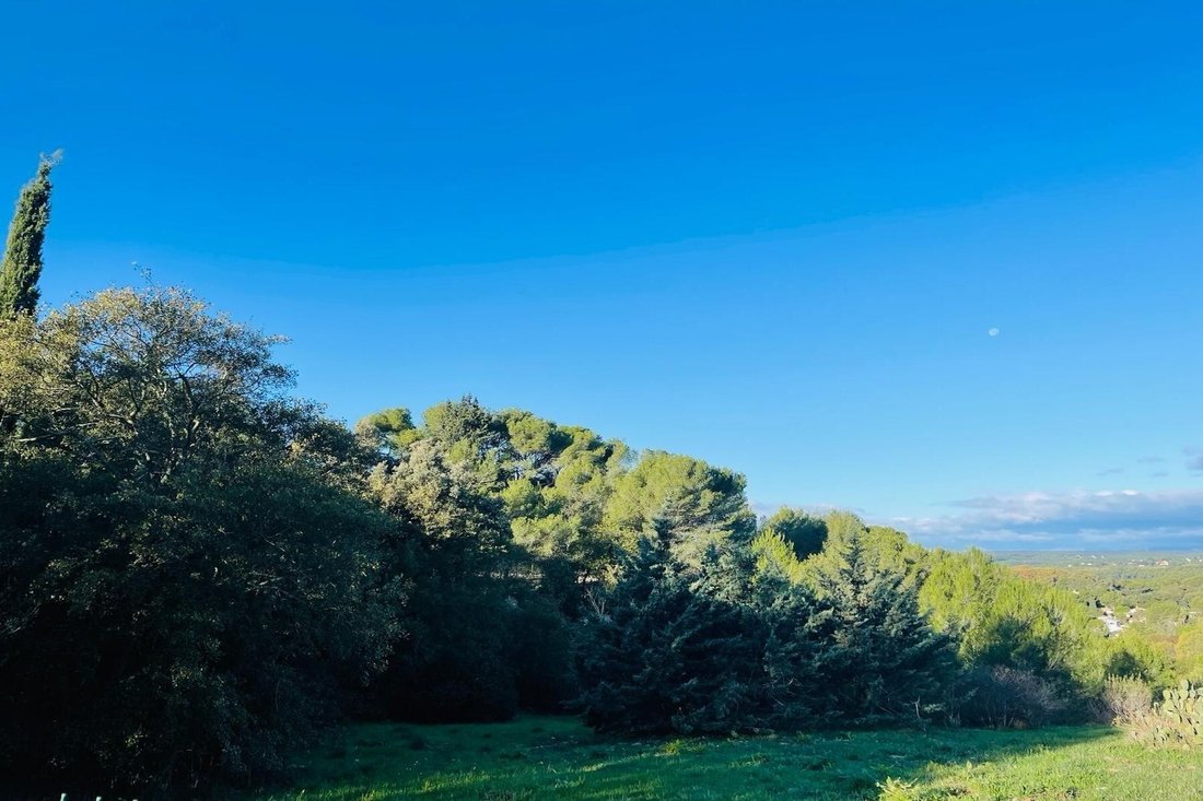 Land in Castelnau-le-Lez, Occitania, France 2 - 15917047