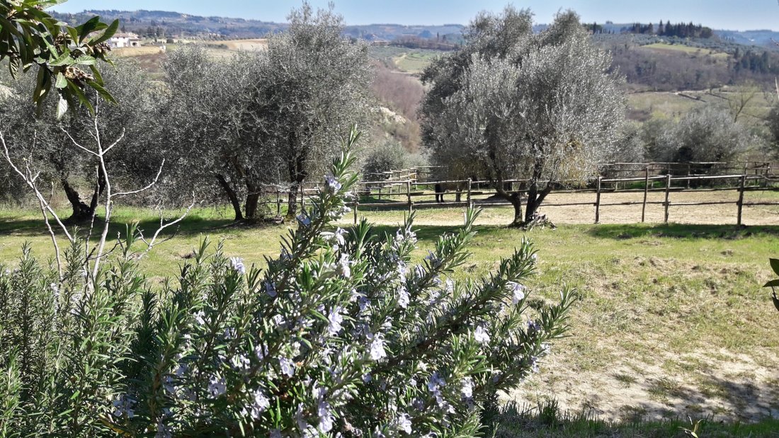 Villa in San Gimignano, Tuscany, Italy 2 - 15913582