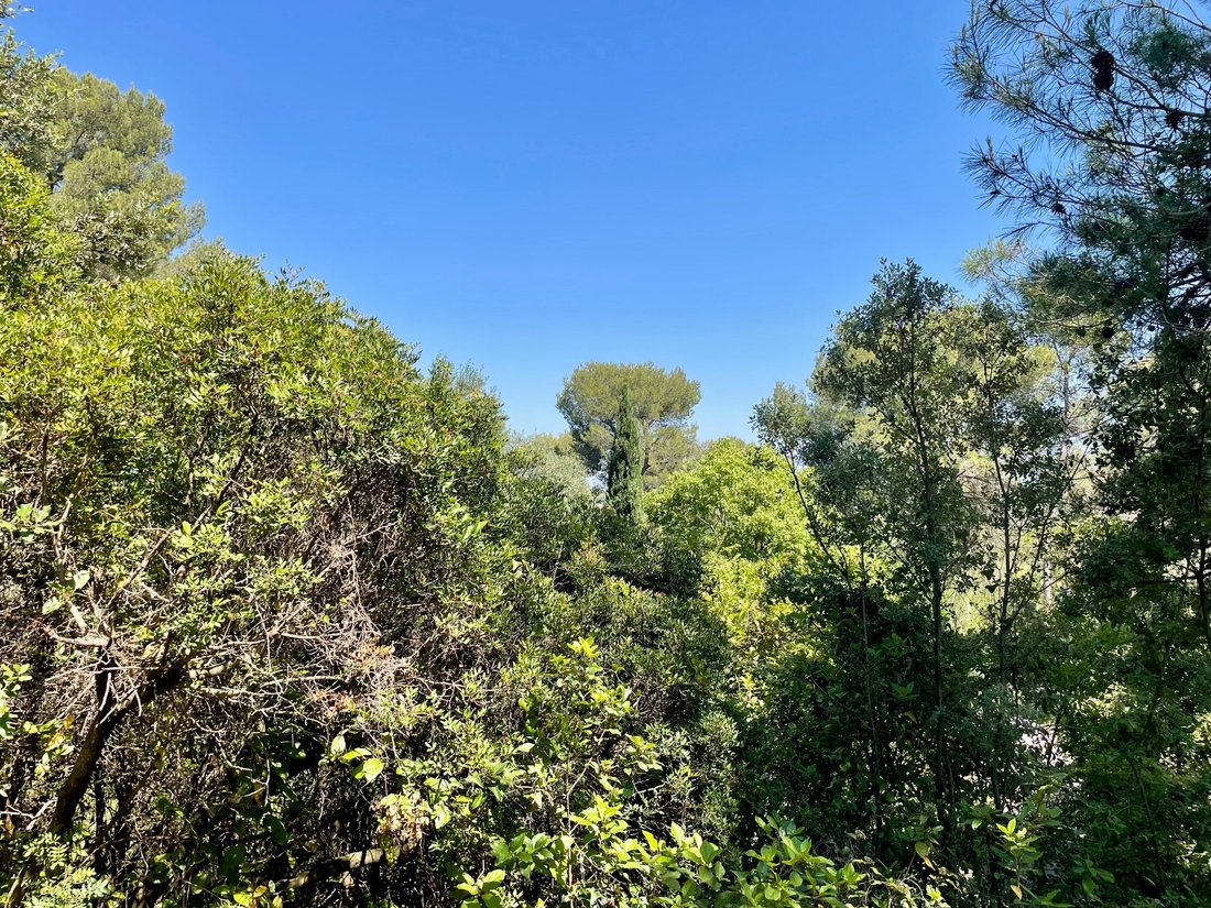 Land in Castelnau-le-Lez, Occitania, France 1 - 15917047