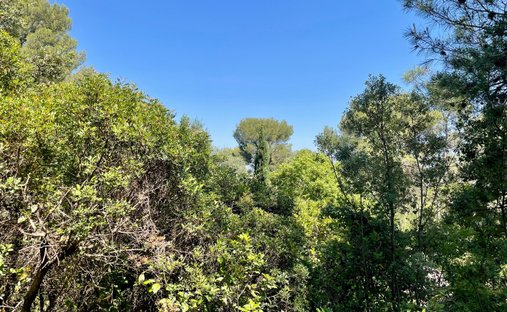 Land in Castelnau-le-Lez, Occitania, France 1