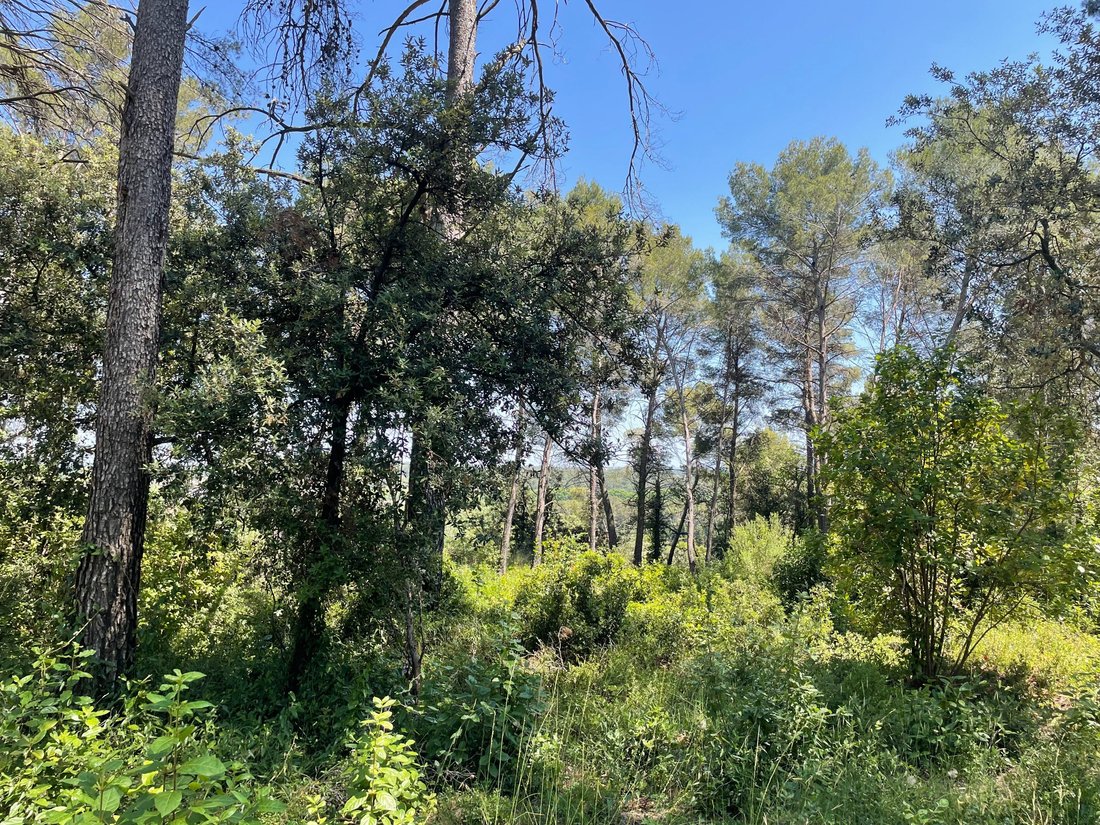 Land in Castelnau-le-Lez, Occitania, France 4 - 15917047
