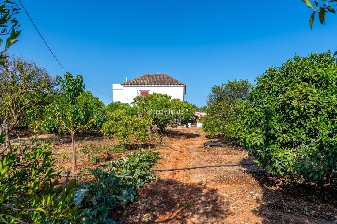 Farm Ranch in Conceicao e Cabanas de Tavira, Algarve, Portugal 4 - 15915245