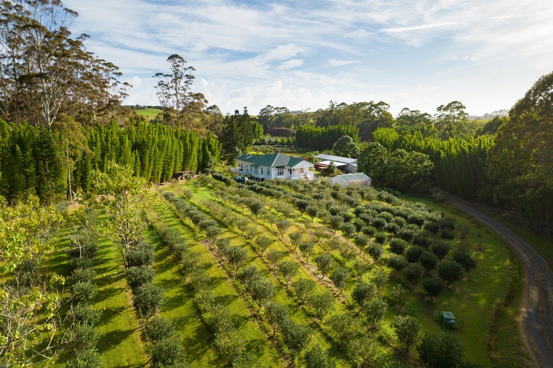 House in Kerikeri, Northland, New Zealand 3 - 15917252