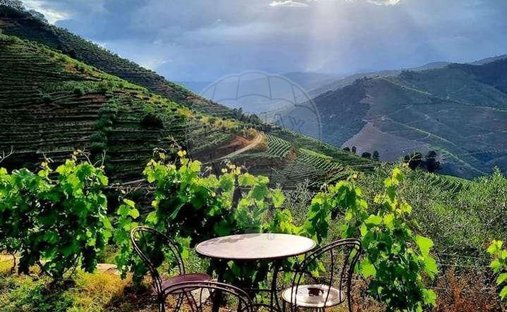 Finca a Valença do Douro, Distretto di Viseu, Portogallo 1