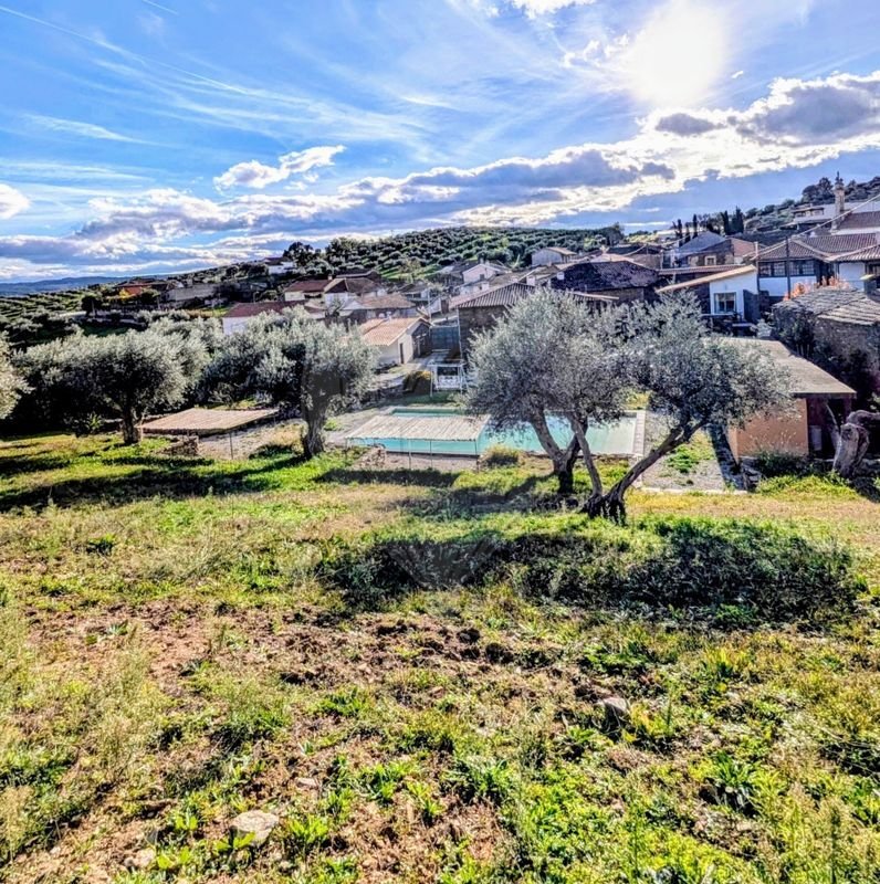 Farm Ranch in Avantos, Braganca District, Portugal 2 - 14663605