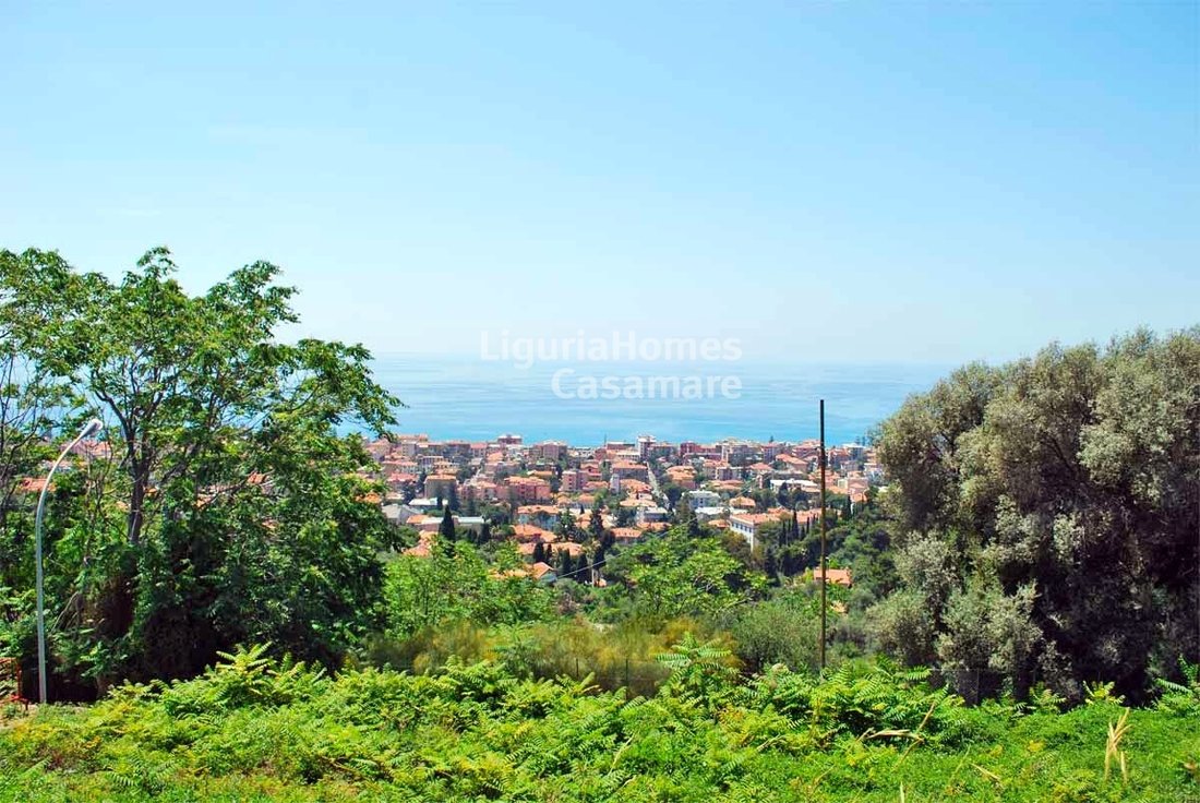 Land in Bordighera, Liguria, Italy 4 - 15924874