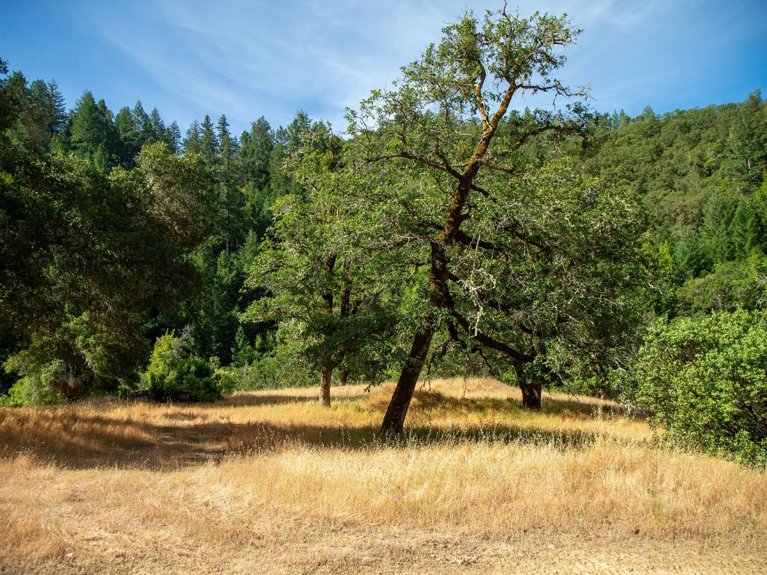 House in Healdsburg, California, United States 2 - 15921181