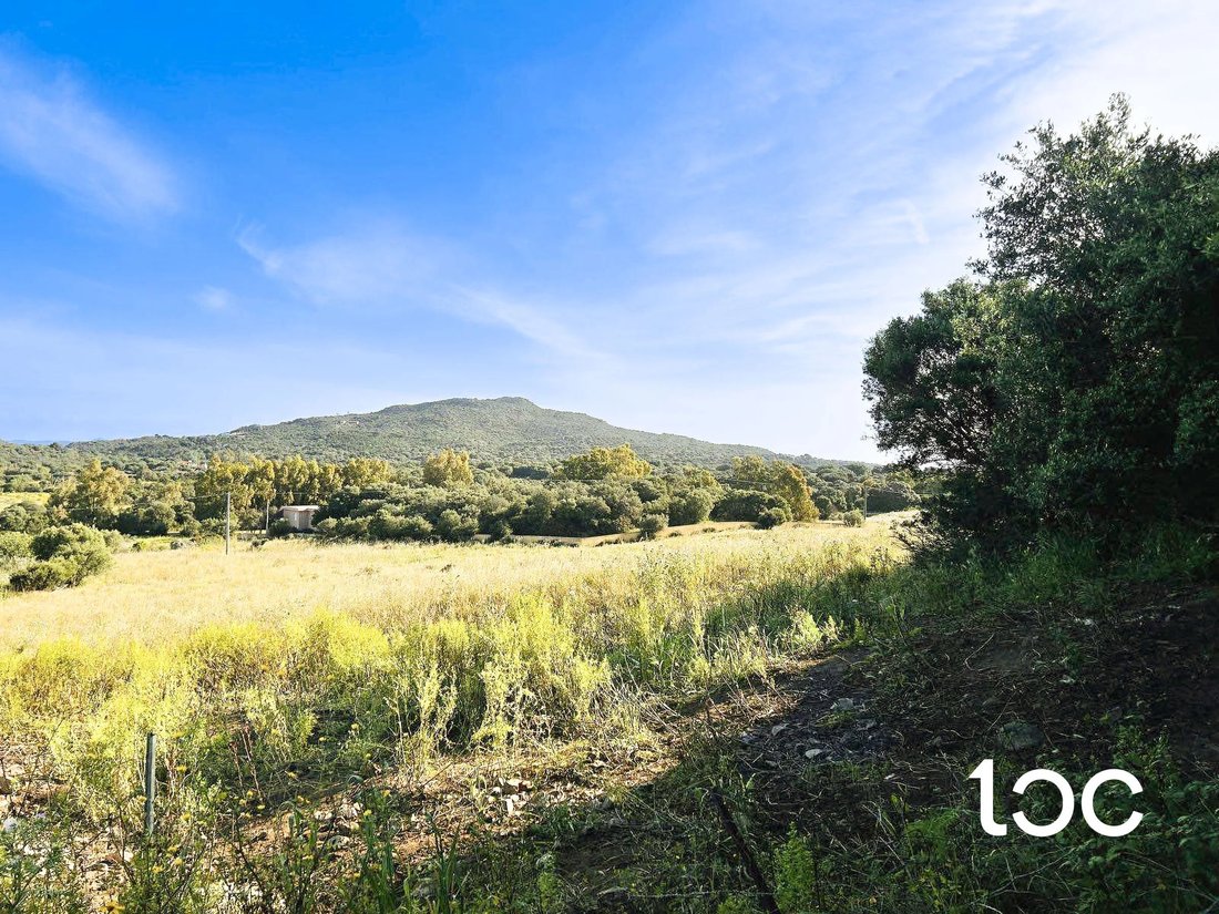 Land in Rudalza, Olbia, Italy 4 - 15894486