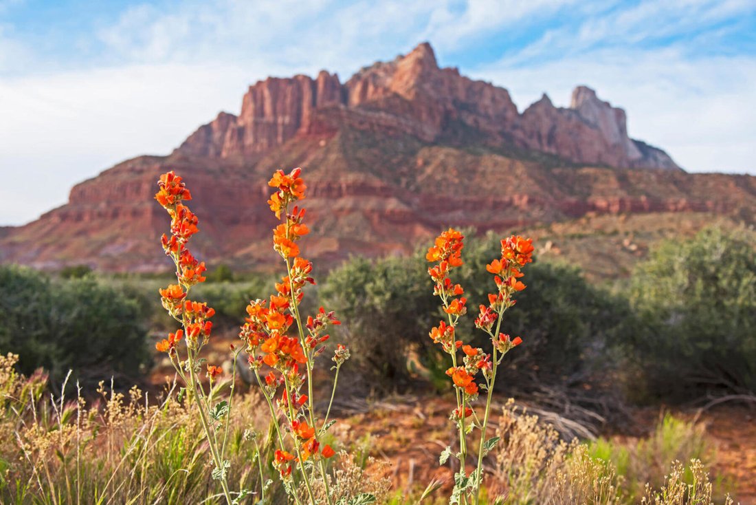 Land in Hurricane, Utah, United States 1 - 15920762