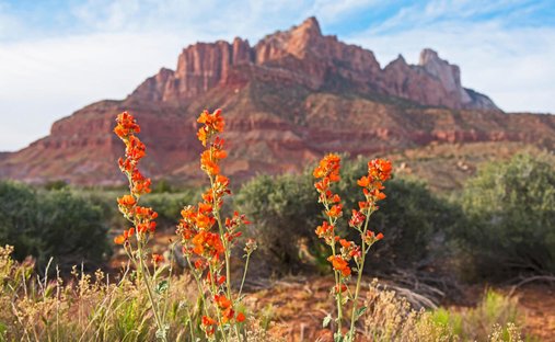 Land in Hurricane, Utah, Vereinigte Staaten 1