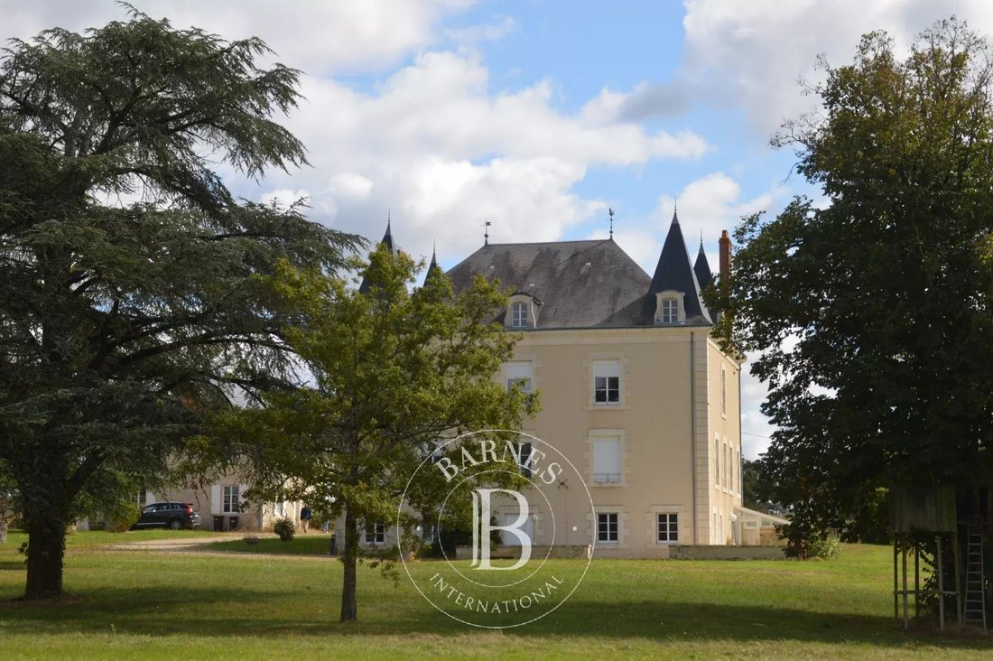 Estate in La Trimouille, Nouvelle-Aquitaine, France 3 - 14784050