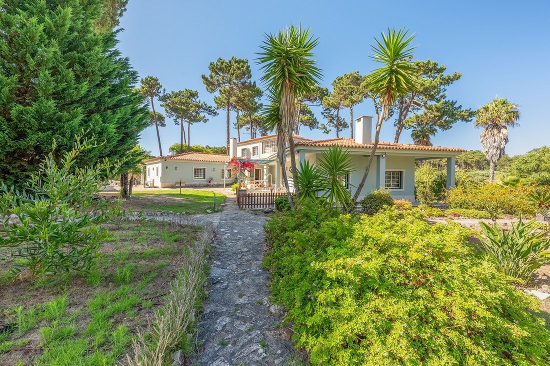 Villa in Sintra, Lisbon, Portugal 5 - 15920681