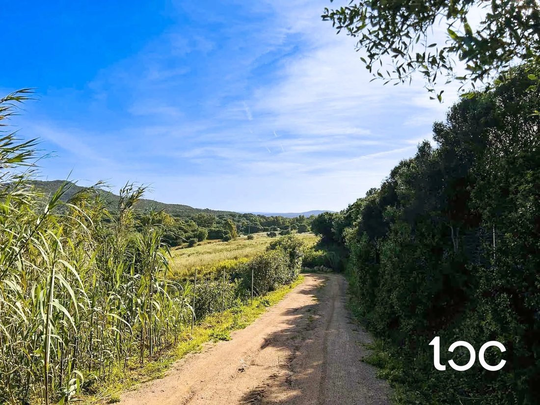 Land in Rudalza, Olbia, Italy 3 - 15894486
