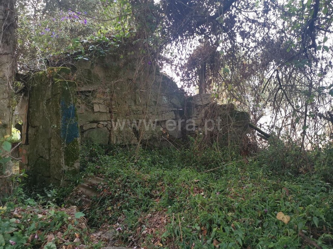 Farm Ranch in Avintes, Porto District, Portugal 4 - 15443548