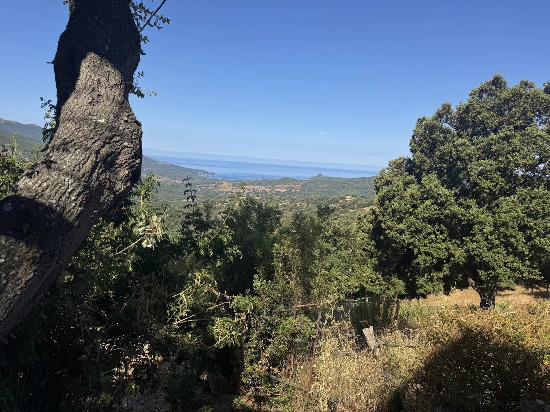Villa in Sari-d'Orcino, Corsica, France 5 - 15924115
