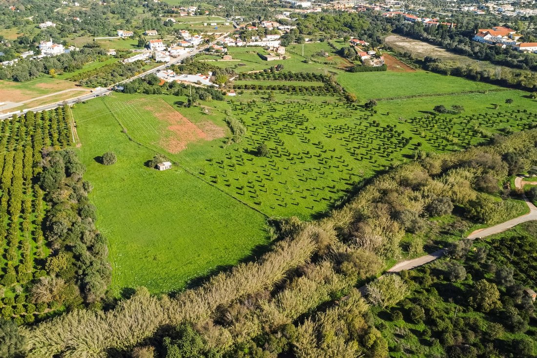Farm Ranch in Vilamoura, Quarteira, Algarve 5 - 14370144