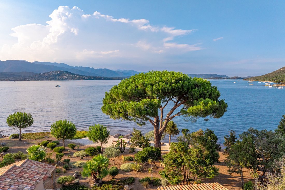 House in Porto-Vecchio, Corsica, France 1 - 15921926