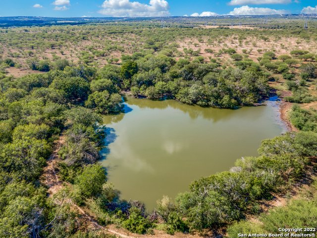 Farm Ranch in Kenedy, Texas, United States 1 - 14336637
