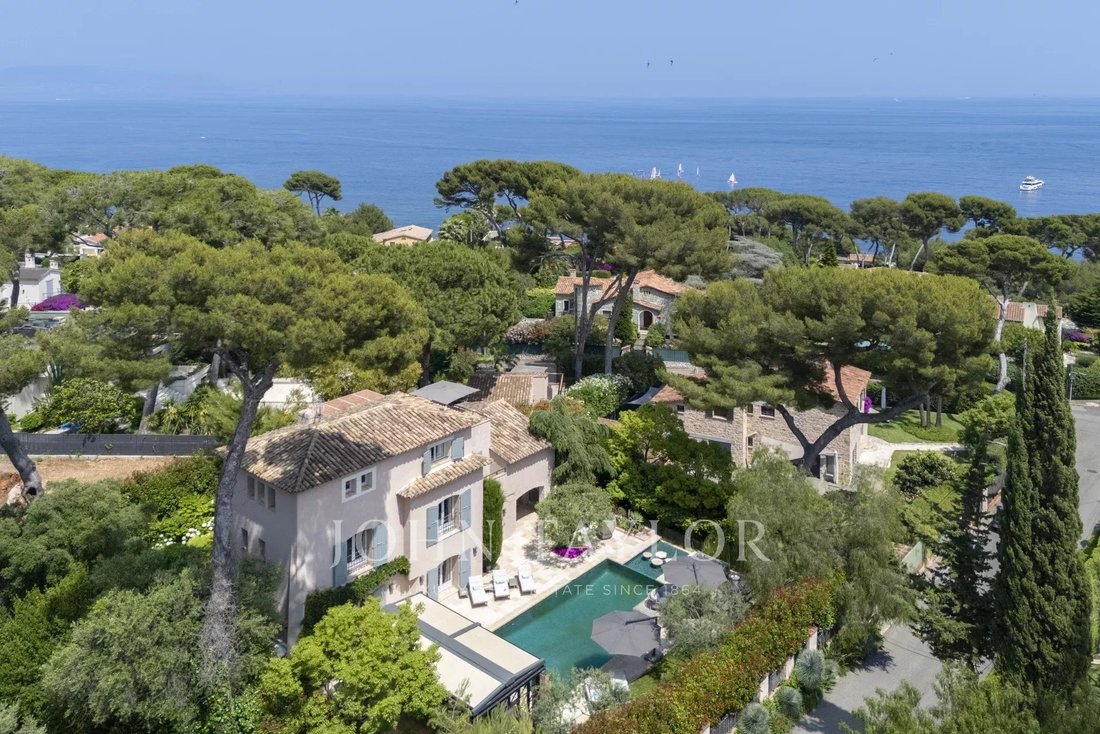 Villa in Antibes, Provence-Alpes-Côte d'Azur, Frankreich 3 - 15924041