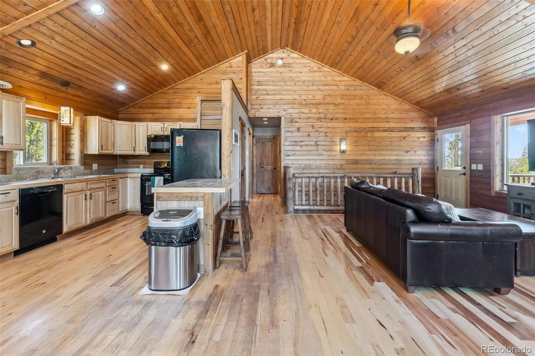 House in Fairplay, Colorado, United States 5 - 15926792