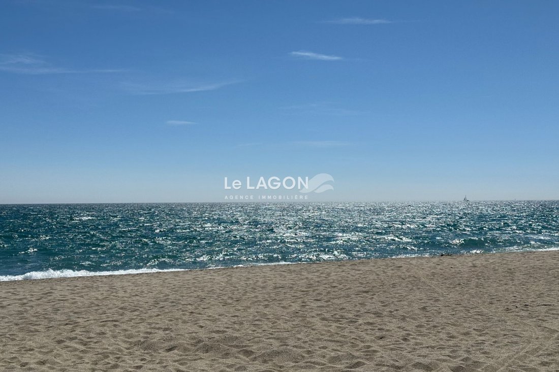 Apartment in Zone Plage, Saint-Cyprien, France 2 - 15317556