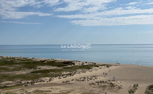 Apartment in Zone Plage, Saint-Cyprien, France 1