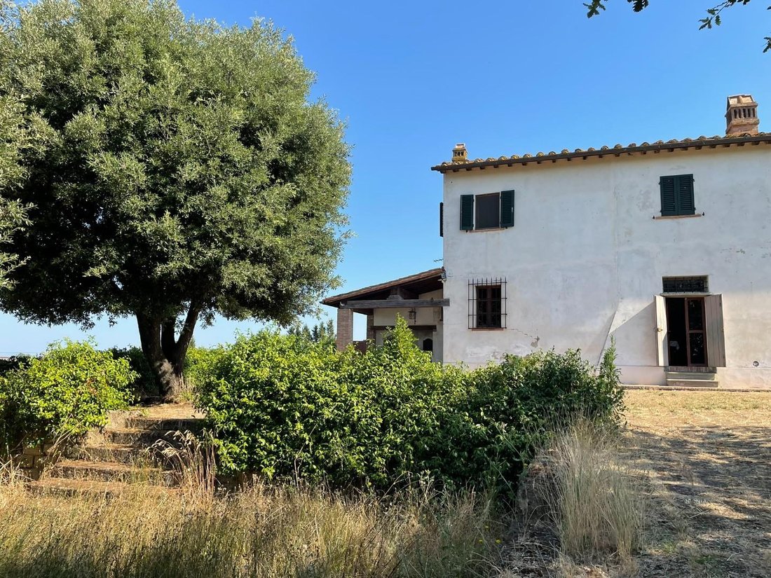 Farm Ranch in San Miniato, Tuscany, Italy 5 - 15924777