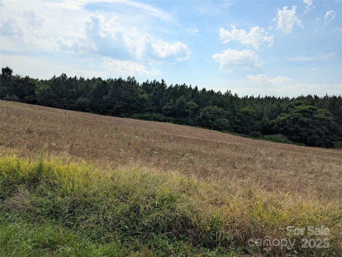 Land in Polkton, North Carolina, United States 3 - 15922227