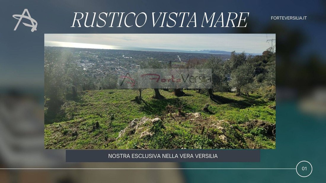Country House in Strettoia-Capezzano-Valdicastello, Pietrasanta, Tuscany 1 - 14127273
